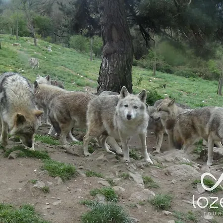 Les Hameaux De Lozere 3*